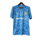 Camisa Palmeiras 25/26 Goleiro I - Torcedor Masculina