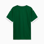 Camisa Palmeiras 25/26 Home - Torcedor Masculina