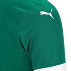 Camisa Palmeiras 25/26 Home - Torcedor Masculina