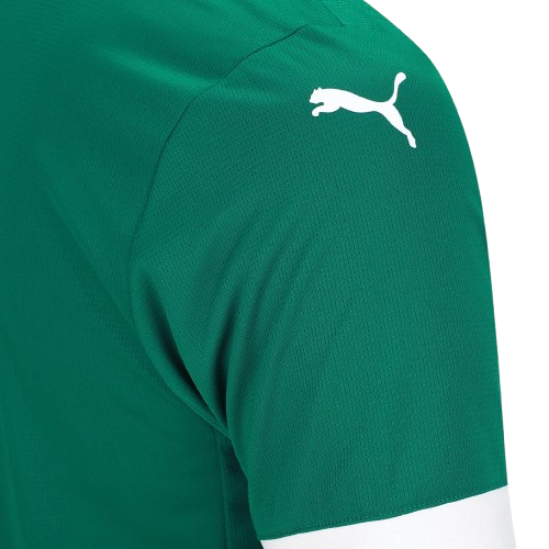 Camisa Palmeiras 25/26 Home - Torcedor Masculina