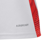 Camisa Internacional 25/26 Treino I - Torcedor Masculina